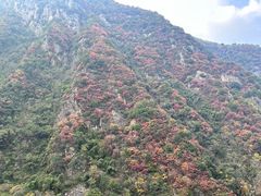 -秦岭终南山世界地质公园翠华山景区
