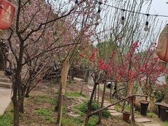 -玫瑰庄园·自助烧烤·烤全羊·团建拓展(龙泉山店)