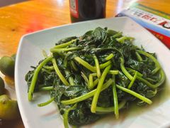 炒地瓜叶-力哥地道海南菜·联谊文昌鸡老店
