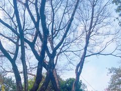 -广州市白云山风景名胜区