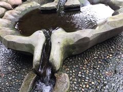 -成都市活水公园