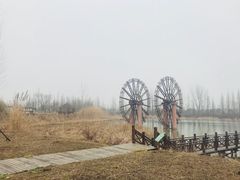 -泗洪洪泽湖湿地景区