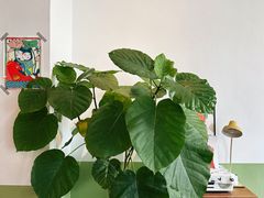 -三花屋 Mihhanaya