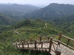 -大岭沟猕猴桃谷风景区