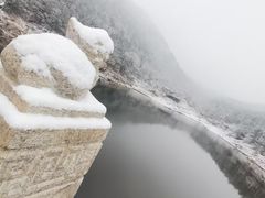 -沂蒙山旅游区龟蒙景区
