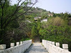 -白水寺森林公园