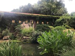 -中国茶叶博物馆(双峰馆区)