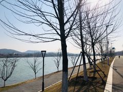 -羊山湖公园