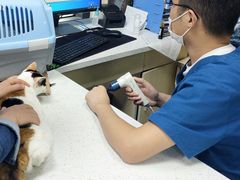 -康成宠物医院24H·CT·核磁共振