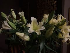 -心足私家足疗SPA(海岸城店)