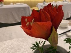 -夏宫中餐厅(静安香格里拉店)