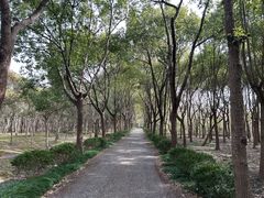 -嘉北郊野公园