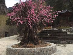 -卡定沟景区