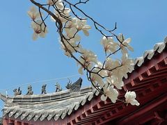 -云龙湖旅游景区