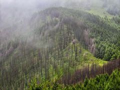 -灵山