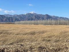 -野鸭湖国家湿地公园