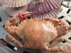 -赶海部落海鲜城(海阳路店)