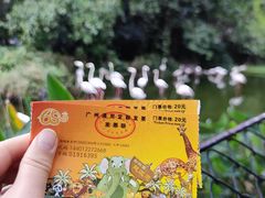 -广州动物园