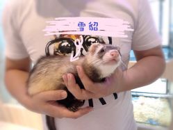 -Moni星球萌宠·小马宝莉·灵蛇·高端高阶全萌宠互动体验俱乐部(红豆国际广场店)