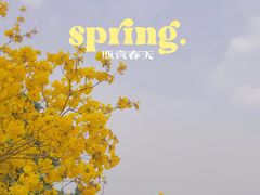 -文华公园(禅城区)