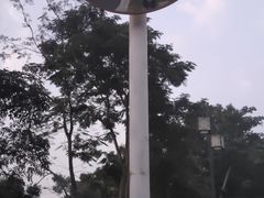 -清湖文化公园