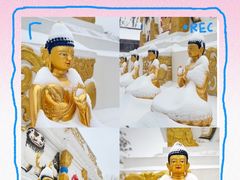 -护国法轮寺