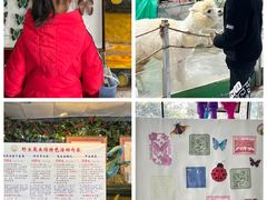 -上海大自然野生昆虫馆(东方明珠·爬宠昆虫探索中心)