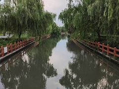 -九科绿洲