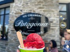 -Patagonia Chocolates(皇后镇店)