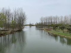 -溱湖国家湿地公园