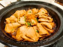 -金春禧(先天下店)