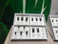-烟台市博物馆
