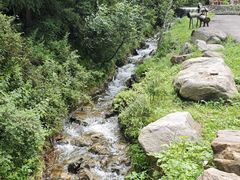-苏木山森林公园