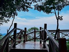 -大岭沟猕猴桃谷风景区