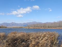 -野鸭湖国家湿地公园