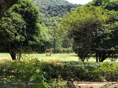 -五泄景区