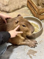 -Zoolung Zoolung动物主题公园(海信广场店)