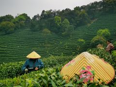 -十里琅珰