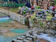 -广州白江湖森林公园