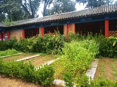 -中卫御苑福膳·养生局(圆明园店)