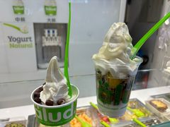 -Salud撒露欧洲冻酸奶(蓝色港湾店)