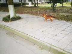 -成都中医药大学(温江校区)