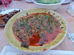 -张鲫鱼家常菜