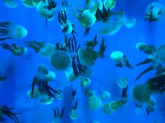 -石林冰雪海洋世界