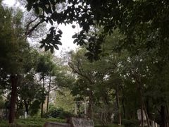 -广州雕塑公园