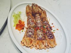 泰国赖尿虾-德米火锅(深圳湾1号旗舰店)
