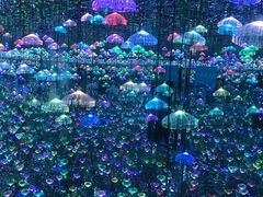 -深圳独角兽星空艺术馆