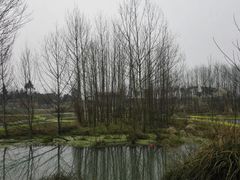 -桤木河湿地公园