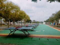 -成都濑川外国语学校