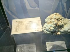 -中国第四纪冰川遗迹陈列馆